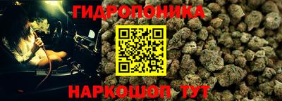 ГАЛЛЮЦИНОГЕННЫЕ ГРИБЫ Аша
